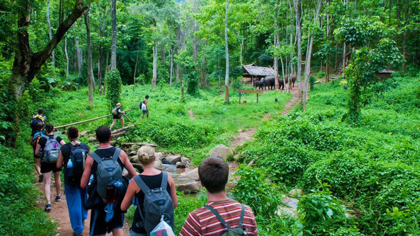 Cuc Phuong Day Trip from Hanoi